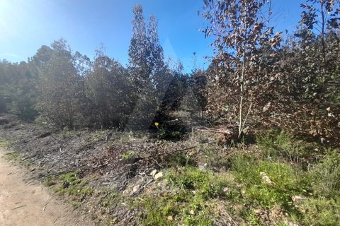 Helårsgrund i Agueda, Aveiro, Agueda - € 130.000 | Ref: 1011702/23 GL - foto 8
