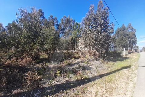 Helårsgrund i Agueda, Aveiro, Agueda - € 130.000 | Ref: 1011702/23 GL - foto 9