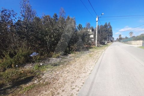 Helårsgrund i Agueda, Aveiro, Agueda - € 130.000 | Ref: 1011702/23 GL - foto 10