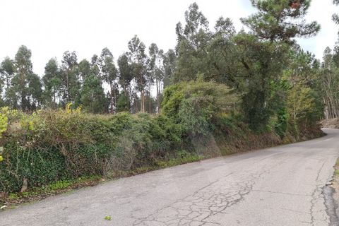 Tomt i Aveiro, Aveiro, Aveiro - € 47 000 | Ref: 1011041/20 GL - foto 8