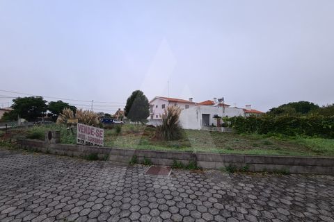 Helårsgrund i Ilhavo, Aveiro, Ilhavo - € 65.000 | Ref: 1011006/20 GL - foto 6