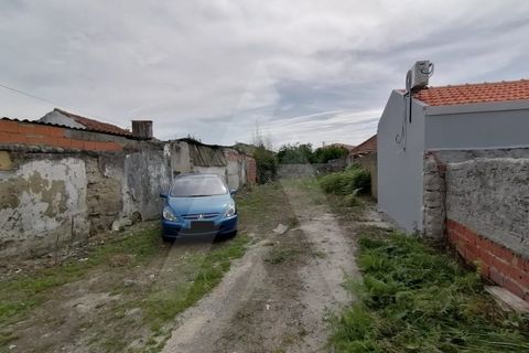 Helårsgrund i Vagos, Aveiro, Vagos - € 45.000 | Ref: 1011199/ 21 GL - foto 2