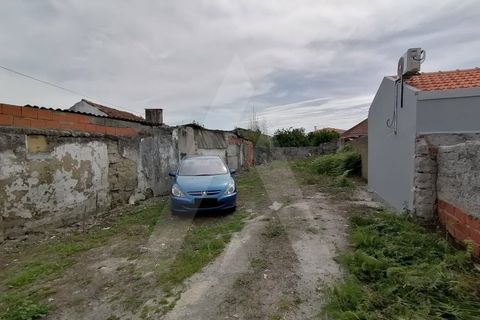 Helårsgrund i Vagos, Aveiro, Vagos - € 45.000 | Ref: 1011199/ 21 GL - foto 3