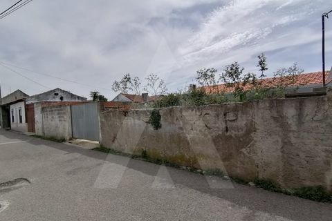 Helårsgrund i Vagos, Aveiro, Vagos - € 45.000 | Ref: 1011199/ 21 GL - foto 4