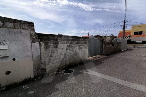 Helårsgrund i Vagos, Aveiro, Vagos - € 45.000 | Ref: 1011199/ 21 GL - foto 6