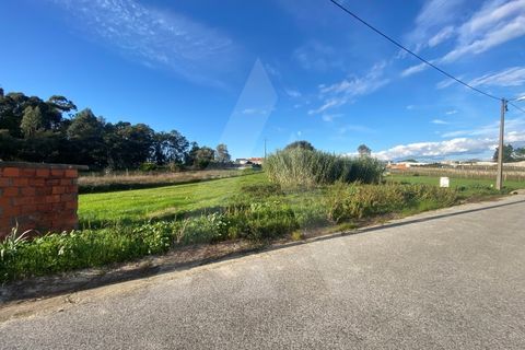 Helårsgrund i Fermentelos, Aveiro, Fermentelos - € 55.000 | Ref: 1012166/24 GL - foto 1