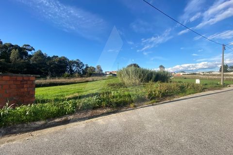 Helårsgrund i Fermentelos, Aveiro, Fermentelos - € 55.000 | Ref: 1012166/24 GL - foto 2