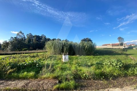 Helårsgrund i Fermentelos, Aveiro, Fermentelos - € 55.000 | Ref: 1012166/24 GL - foto 3