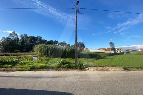 Helårsgrund i Fermentelos, Aveiro, Fermentelos - € 55.000 | Ref: 1012166/24 GL - foto 4
