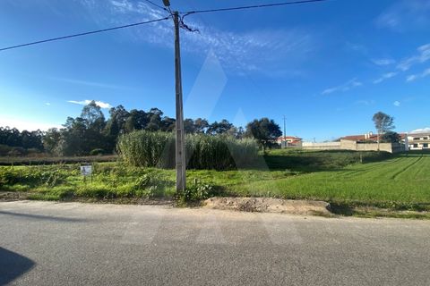 Helårsgrund i Fermentelos, Aveiro, Fermentelos - € 55.000 | Ref: 1012166/24 GL - foto 6