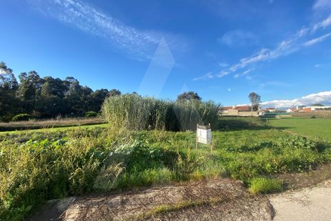 Helårsgrund i Fermentelos, Aveiro, Fermentelos - € 55.000 | Ref: 1012166/24 GL - foto 8