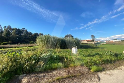 Helårsgrund i Fermentelos, Aveiro, Fermentelos - € 55.000 | Ref: 1012166/24 GL - foto 9