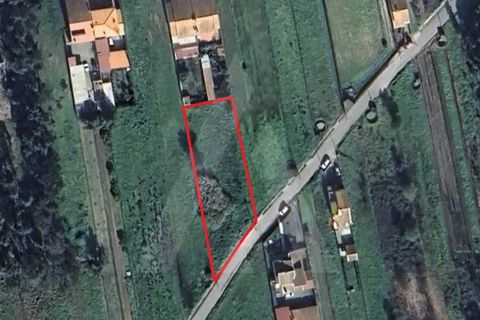Helårsgrund i Fermentelos, Aveiro, Fermentelos - € 55.000 | Ref: 1012166/24 GL - foto 11