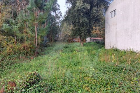 Helårsgrund i Fermentelos, Aveiro, Fermentelos - € 34.900 | Ref: 1012141/24 GL - foto 2