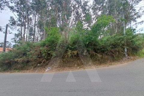 Helårsgrund i Argoncilhe, Aveiro, Argoncilhe - € 149.000 | Ref: 1012052/24 GL - foto 3