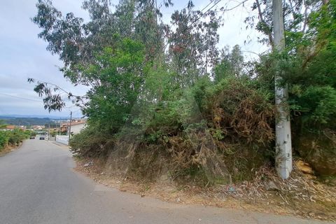 Helårsgrund i Argoncilhe, Aveiro, Argoncilhe - € 149.000 | Ref: 1012052/24 GL - foto 4