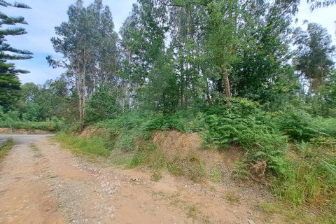 Helårsgrund i Argoncilhe, Aveiro, Argoncilhe - € 149.000 | Ref: 1012052/24 GL - foto 7