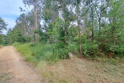 Helårsgrund i Argoncilhe, Aveiro, Argoncilhe - € 149.000 | Ref: 1012052/24 GL - foto 9