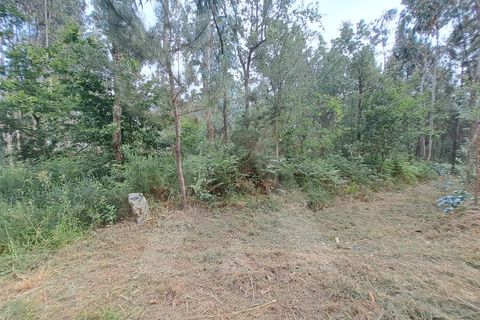 Helårsgrund i Argoncilhe, Aveiro, Argoncilhe - € 149.000 | Ref: 1012052/24 GL - foto 12