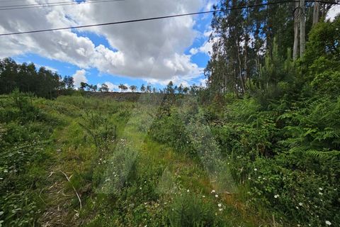 Helårsgrund i Barro, Aveiro, Barro - € 150.000 | Ref: 1012278/25 GL - foto 2