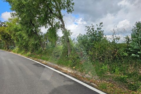 Helårsgrund i Barro, Aveiro, Barro - € 150.000 | Ref: 1012278/25 GL - foto 8