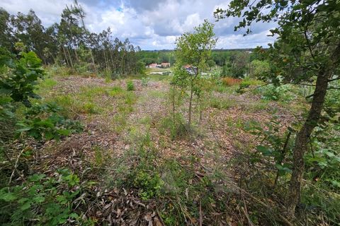 Helårsgrund i Barro, Aveiro, Barro - € 150.000 | Ref: 1012278/25 GL - foto 13