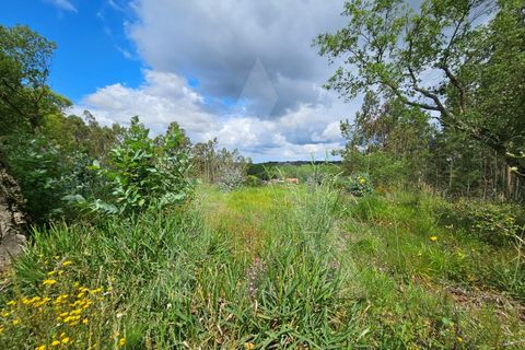 Helårsgrund i Barro, Aveiro, Barro - € 150.000 | Ref: 1012278/25 GL - foto 17