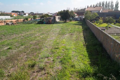 Helårsgrund i Ilhavo, Aveiro, Ilhavo - € 140.000 | Ref: 1011830/23 GL - foto 12