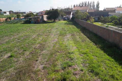 Helårsgrund i Ilhavo, Aveiro, Ilhavo - € 140.000 | Ref: 1011830/23 GL - foto 13