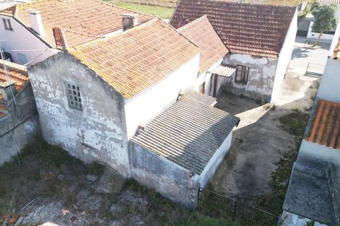 Helårsgrund i Ilhavo, Aveiro, Ilhavo - € 140.000 | Ref: 1011830/23 GL - foto 18