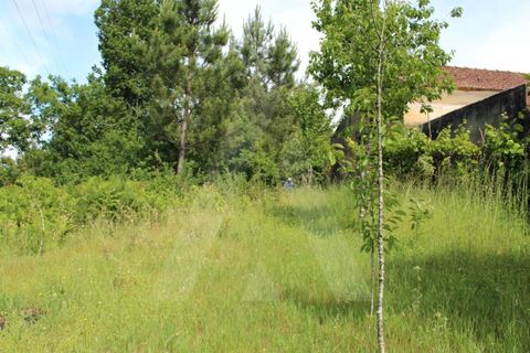 Helårsgrund i Agueda, Aveiro, Agueda - € 25.000 | Ref: 1011188/21 GL - foto 5
