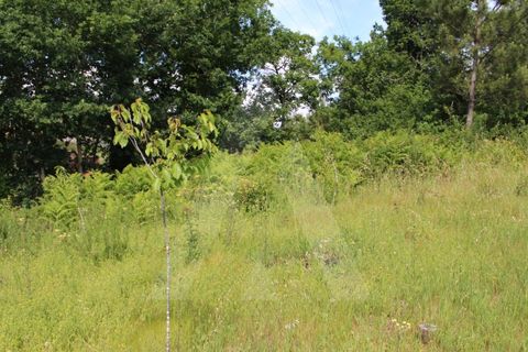 Helårsgrund i Agueda, Aveiro, Agueda - € 25.000 | Ref: 1011188/21 GL - foto 6