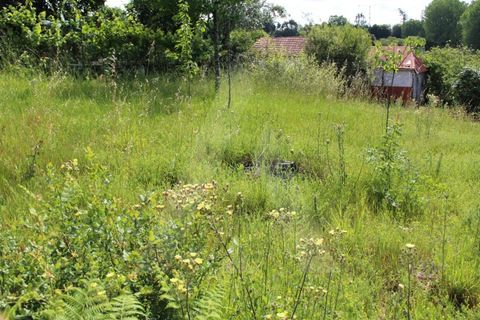 Helårsgrund i Agueda, Aveiro, Agueda - € 25.000 | Ref: 1011188/21 GL - foto 11