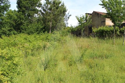 Helårsgrund i Agueda, Aveiro, Agueda - € 25.000 | Ref: 1011188/21 GL - foto 12