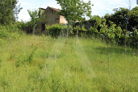 Helårsgrund i Agueda, Aveiro, Agueda - € 25.000 | Ref: 1011188/21 GL - foto 14
