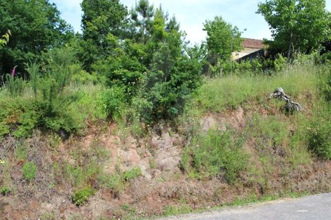 Helårsgrund i Agueda, Aveiro, Agueda - € 25.000 | Ref: 1011188/21 GL - foto 16