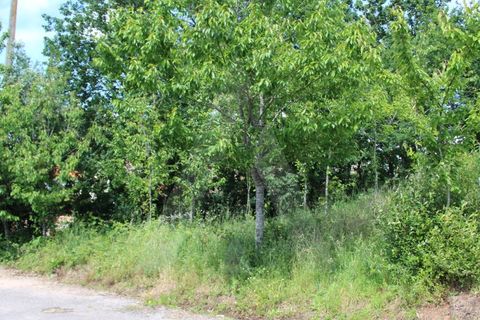 Helårsgrund i Agueda, Aveiro, Agueda - € 25.000 | Ref: 1011188/21 GL - foto 18