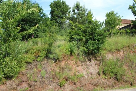 Helårsgrund i Agueda, Aveiro, Agueda - € 25.000 | Ref: 1011188/21 GL - foto 19