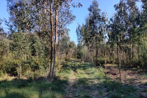 Terreno en Alquerubim, Aveiro, Alquerubim - € 280.000 | Ref: 1010802/20 GL - photo 1