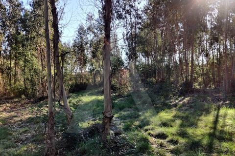 Terreno en Alquerubim, Aveiro, Alquerubim - € 280.000 | Ref: 1010802/20 GL - photo 2