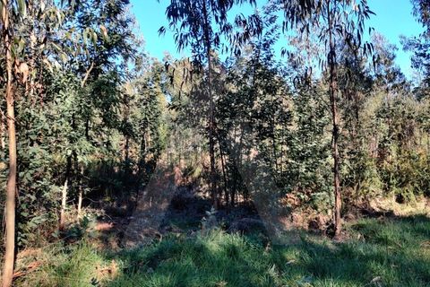 Terreno en Alquerubim, Aveiro, Alquerubim - € 280.000 | Ref: 1010802/20 GL - photo 3