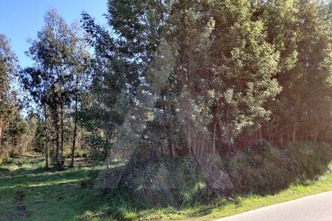 Terreno en Alquerubim, Aveiro, Alquerubim - € 280.000 | Ref: 1010802/20 GL - photo 5