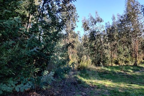 Terreno en Alquerubim, Aveiro, Alquerubim - € 280.000 | Ref: 1010802/20 GL - photo 6