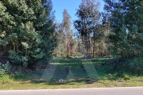 Terreno en Alquerubim, Aveiro, Alquerubim - € 280.000 | Ref: 1010802/20 GL - photo 7