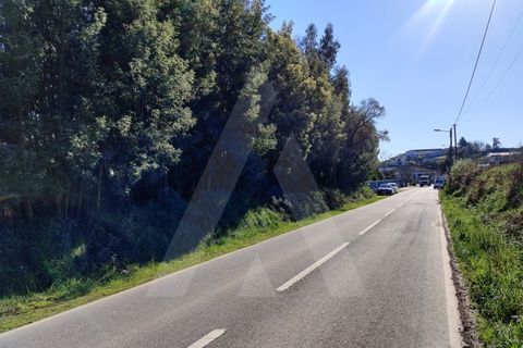 Terreno en Alquerubim, Aveiro, Alquerubim - € 280.000 | Ref: 1010802/20 GL - photo 8