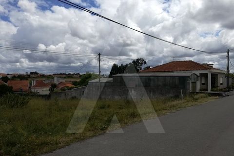 Helårsgrund i Ilhavo, Aveiro, Ilhavo - € 55.000 | Ref: 1010529/19 GL - foto 6
