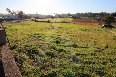Tomt i Arouca, Aveiro, Arouca - € 198 000 | Ref: 1010385/19 GL - foto 4