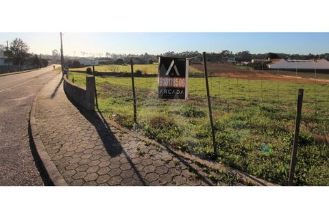 Tomt i Arouca, Aveiro, Arouca - € 198 000 | Ref: 1010385/19 GL - foto 5