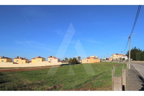 Tomt i Arouca, Aveiro, Arouca - € 198 000 | Ref: 1010385/19 GL - foto 6