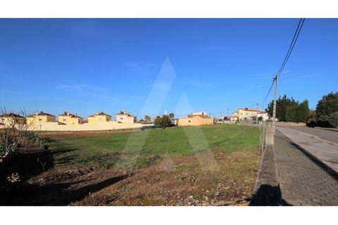 Tomt i Arouca, Aveiro, Arouca - € 198 000 | Ref: 1010385/19 GL - foto 7
